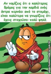 529 4f76ca172d403 Avatar