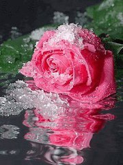Fb 100001310798350 Avatar