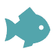 Tnfish