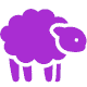 Tnsheep